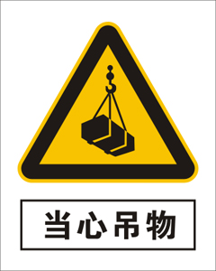 ĵ
