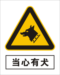Ȯ